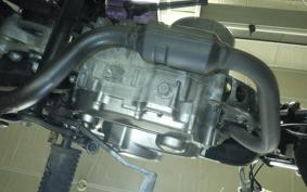 HONDA APE 50 2024 AC16