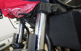 KAWASAKI ZRX1200 D 2009 ZRT20D