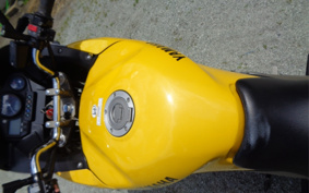YAMAHA TDM900 2002 RN08