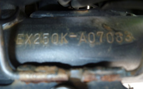 KAWASAKI NINJA 250R EX250K