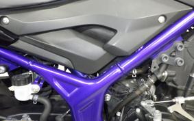 YAMAHA MT-25 2008 RG43J