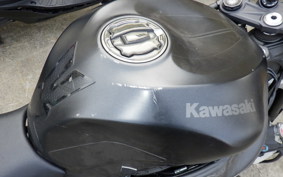 KAWASAKI NINJA ZX-6R 2024 ZX636J