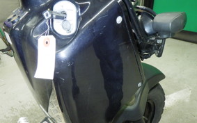 HONDA ZOOMER 2025 AF58