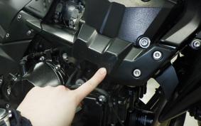 KAWASAKI Z750 R Type 2014