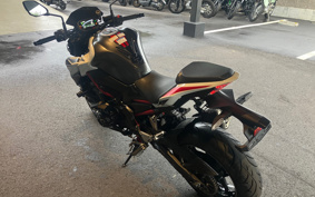 KAWASAKI Z900 2021 ZR900B