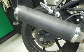 KAWASAKI NINJA 250R 2020 EX250K