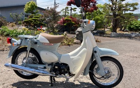 HONDA LITTLE CUB AA01