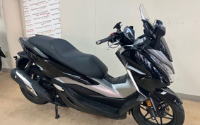 HONDA  FORZA 250 MF13