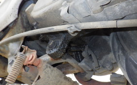 HONDA TACT GEN 1 AF24