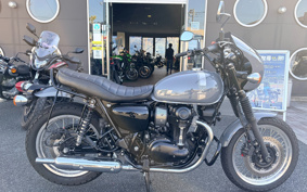 KAWASAKI W800 STREET 2022 EJ800E