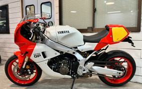 YAMAHA XSR900 GP 2024 RN96J