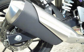 SUZUKI GSX250R DN11A