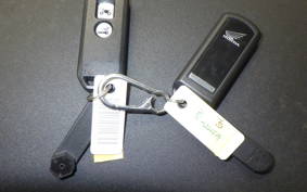 HONDA FORZA 250 1994 MF13