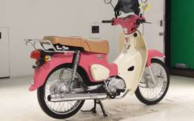 HONDA C110 SUPER CUB
