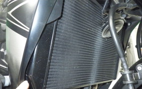 KAWASAKI Z1000 Gen.5 2018 ZXT00W