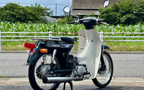 YAMAHA MATE50DX V50
