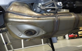 YAMAHA XSR900 GP 2024 RN96J