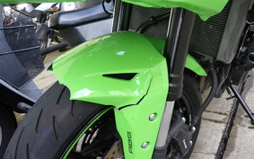KAWASAKI ZX-4RR 2024 ZX400P