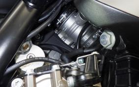 HUSQVARNA NORDEN901EXP 2024