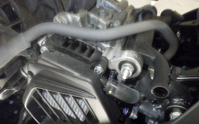 HONDA ﾀﾞﾝｸ 2008 AF78