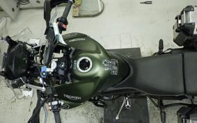 TRIUMPH TIGER 800 2019