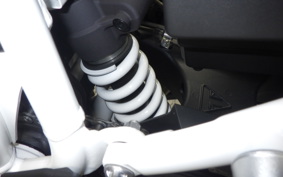 TRIUMPH TIGER 900 RALLY PRO 2023