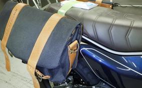 DUCATI SCRAMBLER 2024