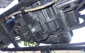 OTHER UNREGISTERED MODEL by BDS250