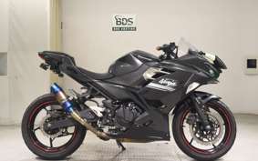 KAWASAKI NINJA 250 2010
