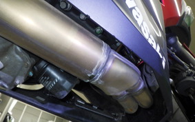 KAWASAKI NINJA 250 2022 EX250P