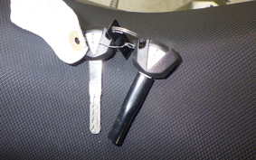 KAWASAKI NINJA 250 2016 EX250Y