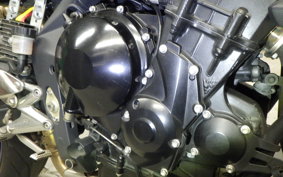 TRIUMPH STREET TRIPLE 2008