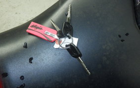 KAWASAKI NINJA 250 ABS 2004 EX250L