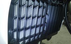 YAMAHA TENERE 700 2021 DM09J