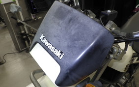 KAWASAKI SUPER SHERPA 2021 KL250G