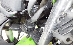 KAWASAKI NINJA 250 2026 EX250L