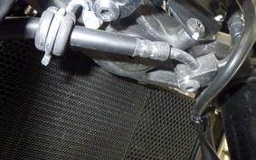 KAWASAKI Z900RS 2023 ZR900K