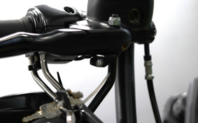 HARLEY XL1200NS 2021 LP3