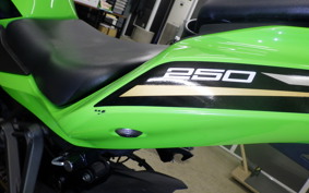 KAWASAKI ZX-25R 2022 ZX250E