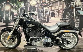 HARLEY  HARLEY FLFB 2025 YF9