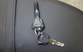 TRIUMPH DAYTONA660 2025