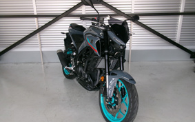 YAMAHA MT-03 2024 RH21J