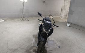 KAWASAKI Z250 ER250C