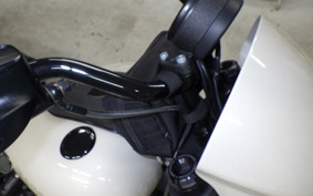 HARLEY FXLRS1920 2025