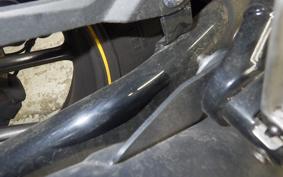 TRIUMPH BONNEVILLE STREET CUP 2017