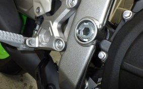KAWASAKI ZX-4RR 2024 ZX400P