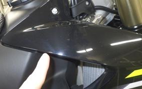 TRIUMPH TF250-X 2025