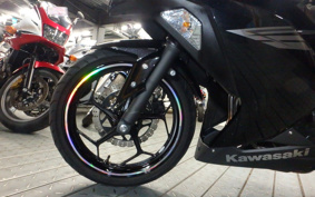 KAWASAKI NINJA 250 EX250L