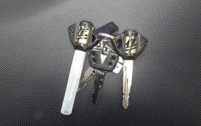 SUZUKI HAYABUSA Gen.3 2025 EJ11A