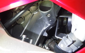 KAWASAKI NINJA 250 2